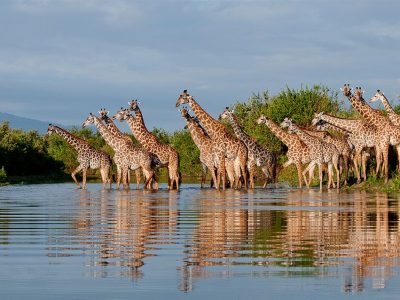 selous-game-reserve-400x300