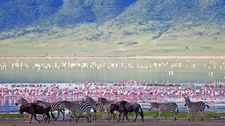 ¿Dónde ir en Tanzania? Los mejores lugares para visitar